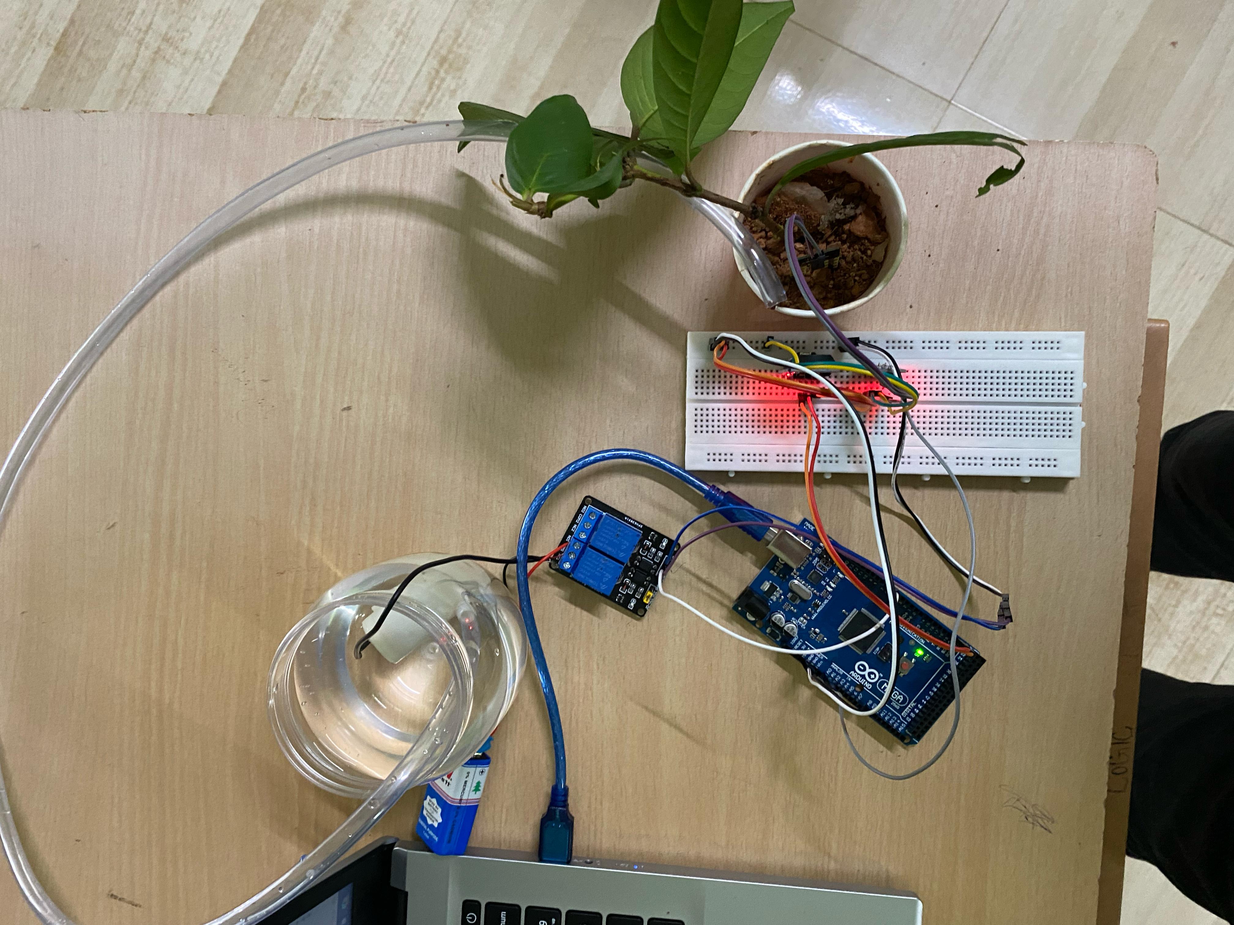 Smart Irrigation System photo2